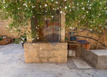 Giardino - Casa indipendente Via Madonna della Pietra
 
SNC, Mineo - foto 3