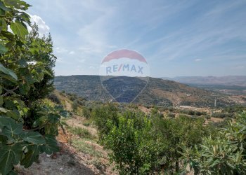 Vista delle montagne - Casa indipendente Via Madonna della Pietra
 
SNC, Mineo - foto 47