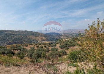 Vista delle montagne - Casa indipendente Via Madonna della Pietra
 
SNC, Mineo - foto 51