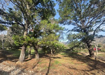 Giardino - Semi-detached house Loc. Casamona
 
16, Loro Ciuffenna - photo 24