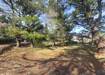 Giardino - Semi-detached house Loc. Casamona
 
16, Loro Ciuffenna - photo 26