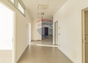 Hall / corridoio - Ufficio Via Archimede Pasquinelli
 
2/A, Jesi - foto 5