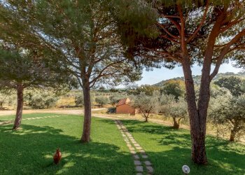 Foto 4 - Villa Località Val Borgina, Castiglione della Pescaia - foto 4