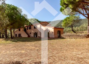 Foto 40 - Villa Località Val Borgina, Castiglione della Pescaia - foto 40