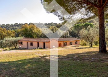 Foto 44 - Villa Località Val Borgina, Castiglione della Pescaia - foto 44