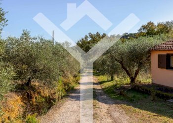 Foto 45 - Villa Località Val Borgina, Castiglione della Pescaia - foto 45