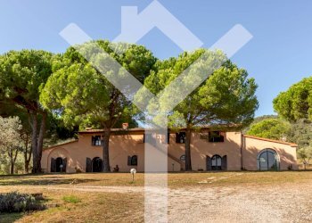 Foto 53 - Villa Località Val Borgina, Castiglione della Pescaia - foto 53