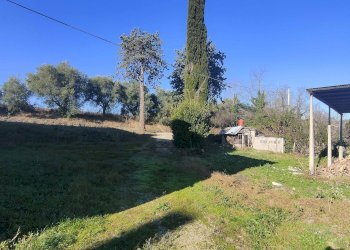 Foto 6 - Rustic Contrada Tesino, Offida - photo 6