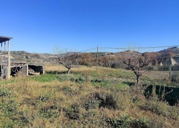 Foto 8 - Rustic Contrada Tesino, Offida - photo 8