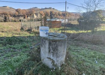 Foto 10 - Rustic Contrada Tesino, Offida - photo 10