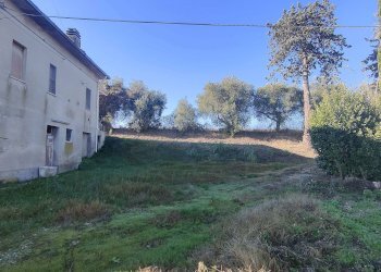 Foto 45 - Rustic Contrada Tesino, Offida - photo 45