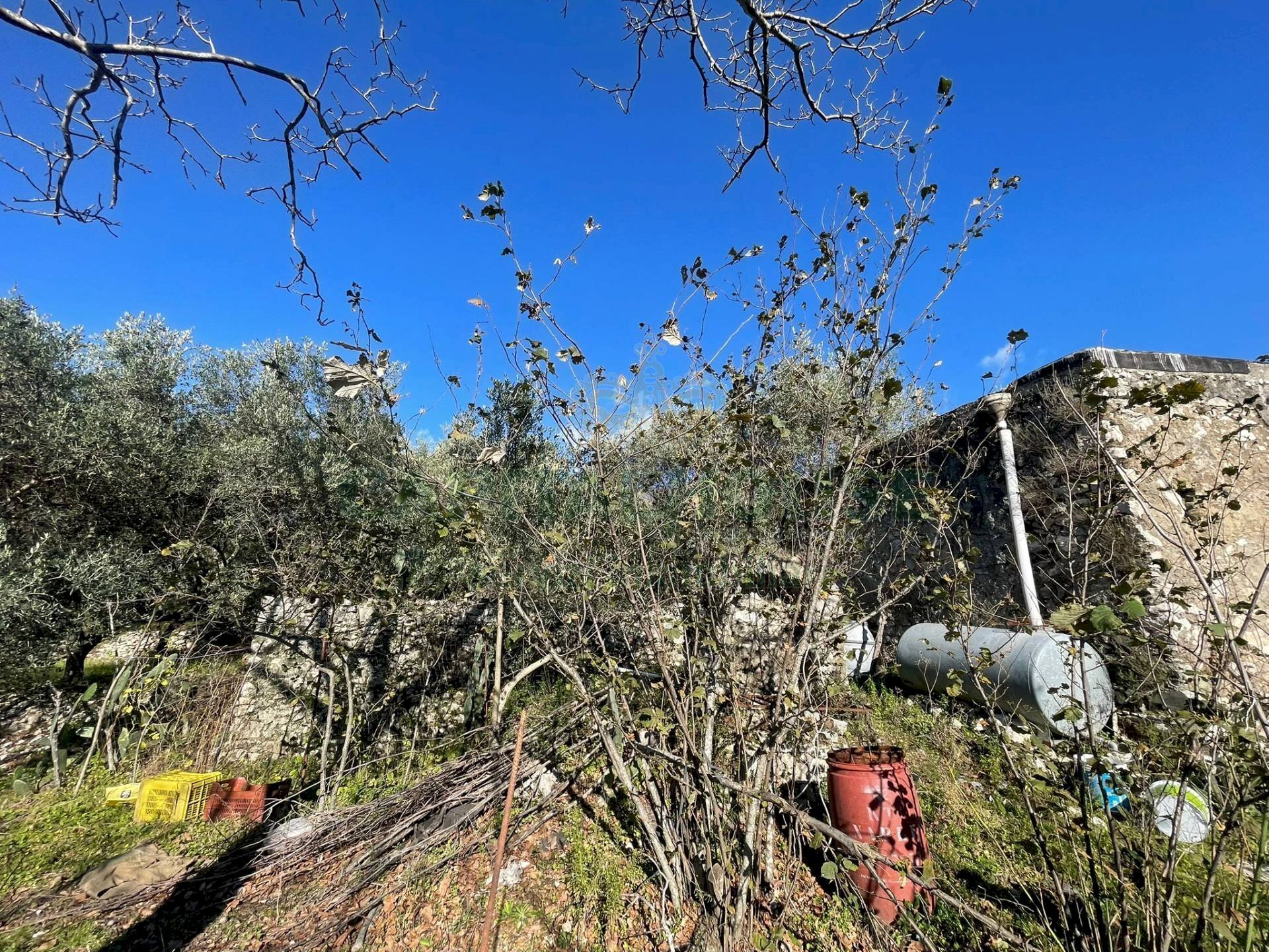 Foto 2 - Terreno agricolo via tora, Avella - foto 2