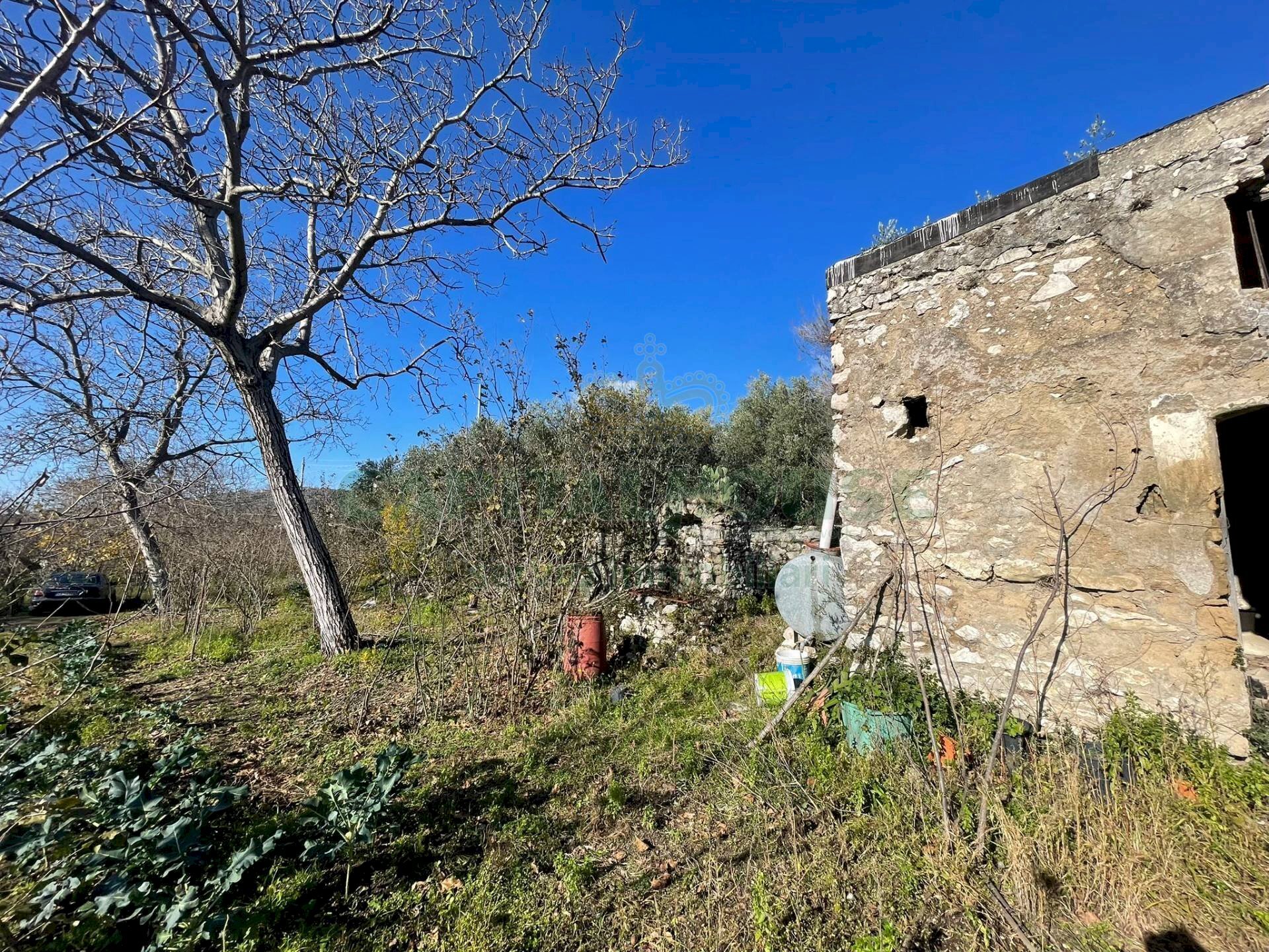 Foto 3 - Terreno agricolo via tora, Avella - foto 3
