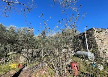 Foto 2 - Terreno agricolo via tora, Avella - foto 2