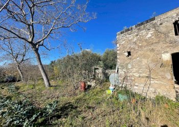 Foto 4 - Terreno agricolo via tora, Avella - foto 4