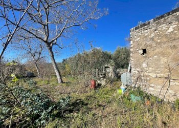 Foto 5 - Terreno agricolo via tora, Avella - foto 5