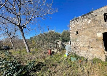 Foto 8 - Terreno agricolo via tora, Avella - foto 8