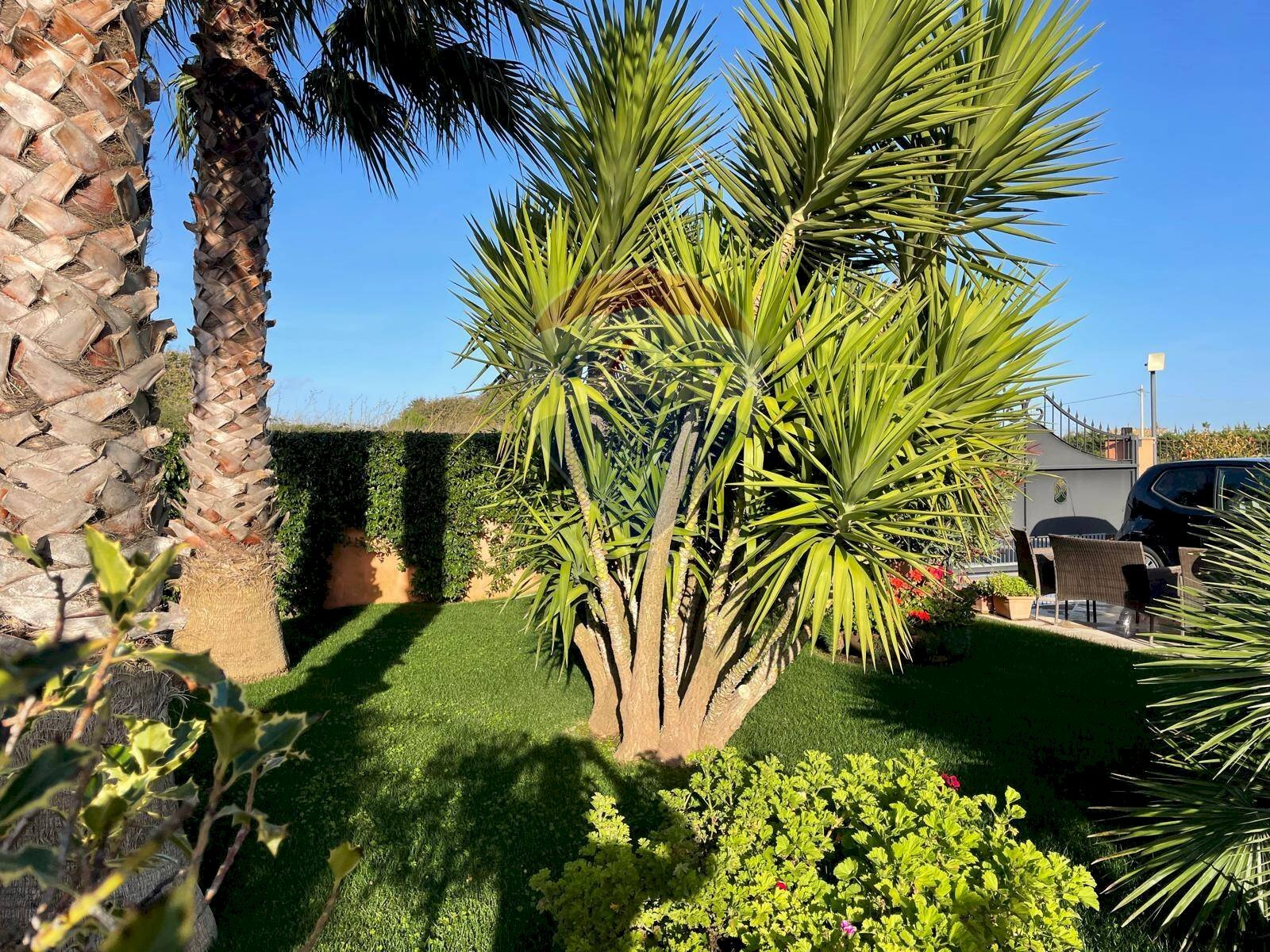 Giardino - Casa semi indipendente Via Grazia Deledda
 
124, Ragusa - foto 3