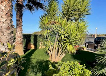 Giardino - Casa semi indipendente Via Grazia Deledda
 
124, Ragusa - foto 24