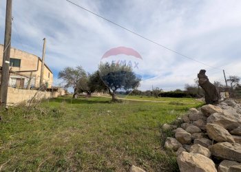 Giardino - Villa contrada catteto, Scicli - foto 13