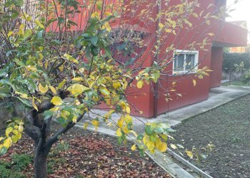 Casa all\'aperto - Villa Montesilvano - foto 6