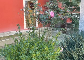 Giardino - Villa Montesilvano - foto 7