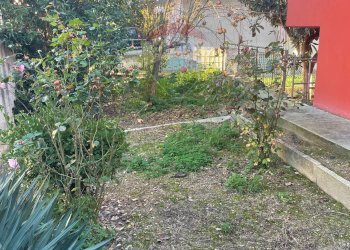 Giardino - Villa Montesilvano - foto 8