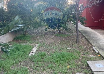 Giardino - Villa Montesilvano - foto 23