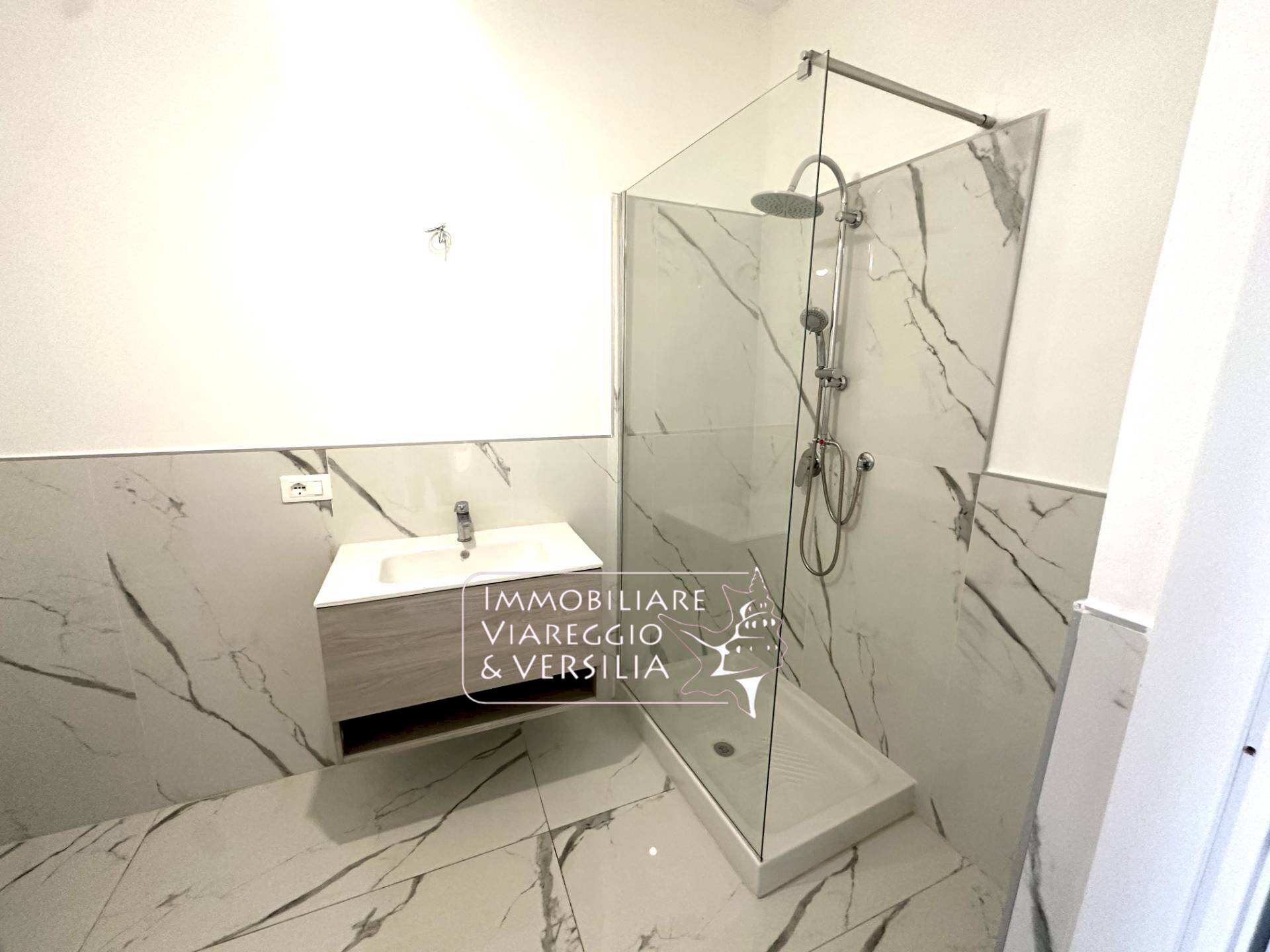 Foto 3 - Capannone Via Nicola Pisano
 
5, Viareggio - foto 3