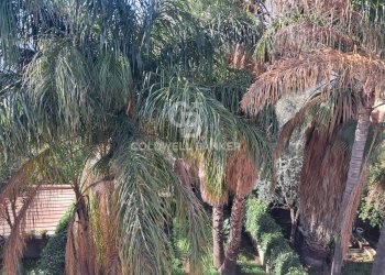 Foto 4 - Villa a Schiera Via Sacerdote G. Cardillo, Acireale - foto 4