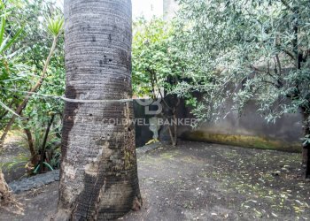 Foto 78 - Villa a Schiera Via Sacerdote G. Cardillo, Acireale - foto 78