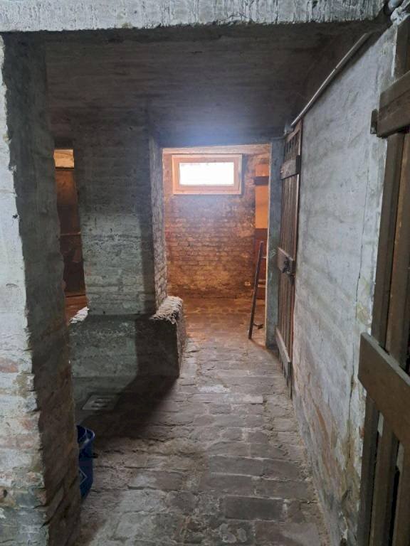 Dettagli - Warehouse via Carlo Cignani, Bologna (neighborhood Bolognina) - photo 3