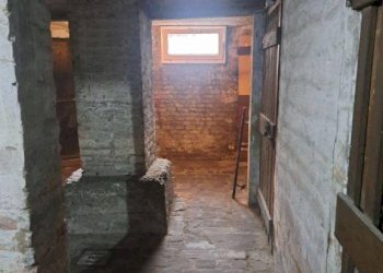 Dettagli - Magazzino via Carlo Cignani, Bologna (zona Bolognina) - foto 3