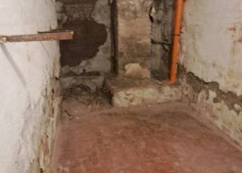 Cantina - Magazzino via Carlo Cignani, Bologna (zona Bolognina) - foto 22