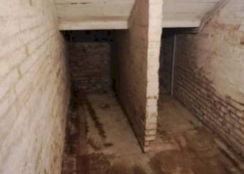 Cantina - Magazzino via Carlo Cignani, Bologna (zona Bolognina) - foto 25