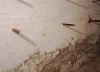 Cantina - Magazzino via Carlo Cignani, Bologna (zona Bolognina) - foto 26