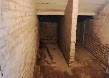 Cantina - Magazzino via Carlo Cignani, Bologna (zona Bolognina) - foto 32