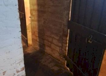 Cantina - Magazzino via Carlo Cignani, Bologna (zona Bolognina) - foto 34