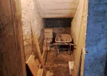 Cantina - Magazzino via Carlo Cignani, Bologna (zona Bolognina) - foto 35