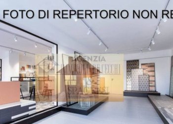 Interno non residenziale - Negozio viale Alessandro Guidoni, Firenze (zona Santa Maria Novella) - foto 8