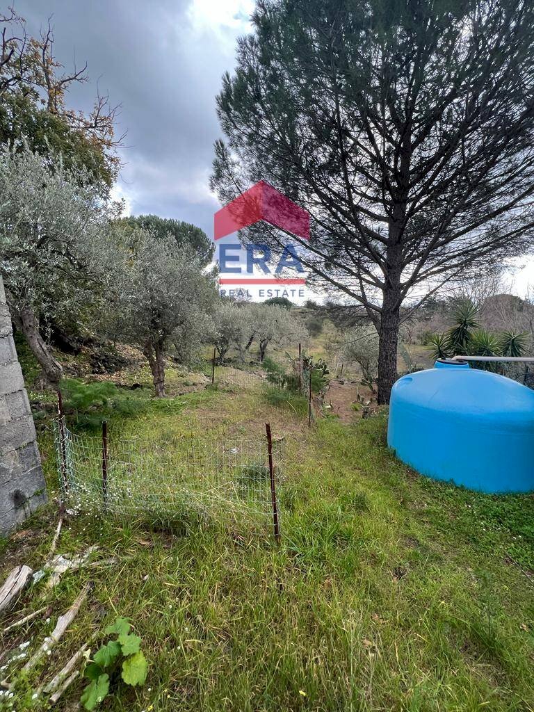 Foto 3 - Rustico sp 160, Belpasso - foto 3