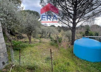 Foto 3 - Rustico sp 160, Belpasso - foto 3