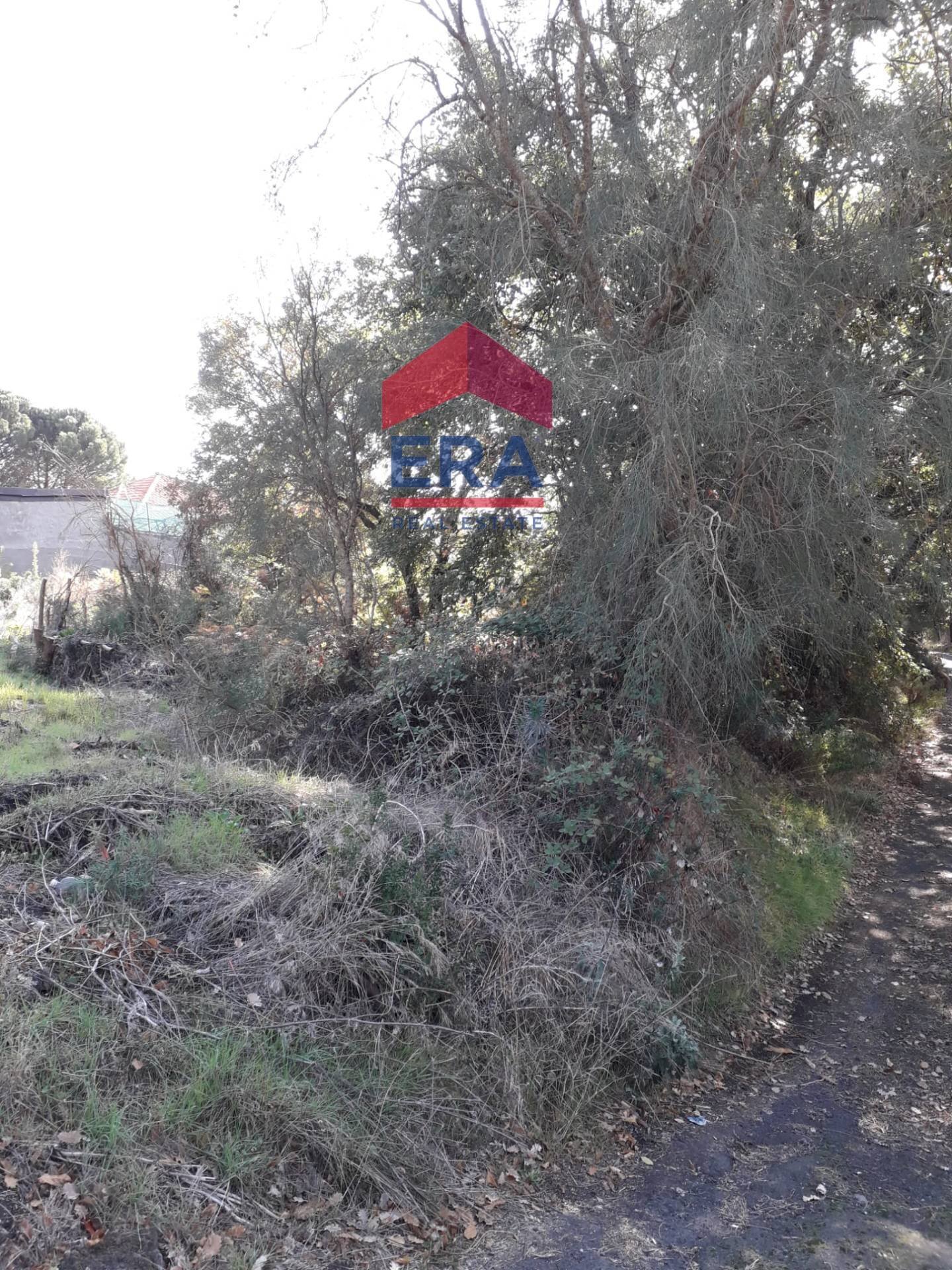 Foto 1 - Agricultural land Via San Nicola, Nicolosi - photo 1