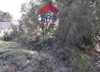 Foto 1 - Agricultural land Via San Nicola, Nicolosi - photo 1