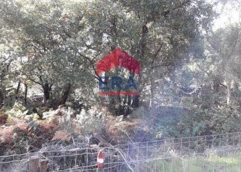 Foto 4 - Agricultural land Via San Nicola, Nicolosi - photo 4