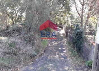 Foto 6 - Agricultural land Via San Nicola, Nicolosi - photo 6