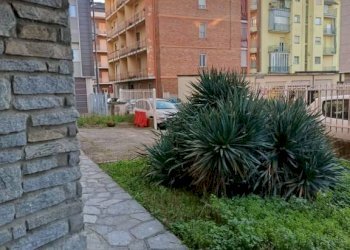 Giardino - Quadrilocale via Michelangelo Pittatore, 31, Asti - foto 4