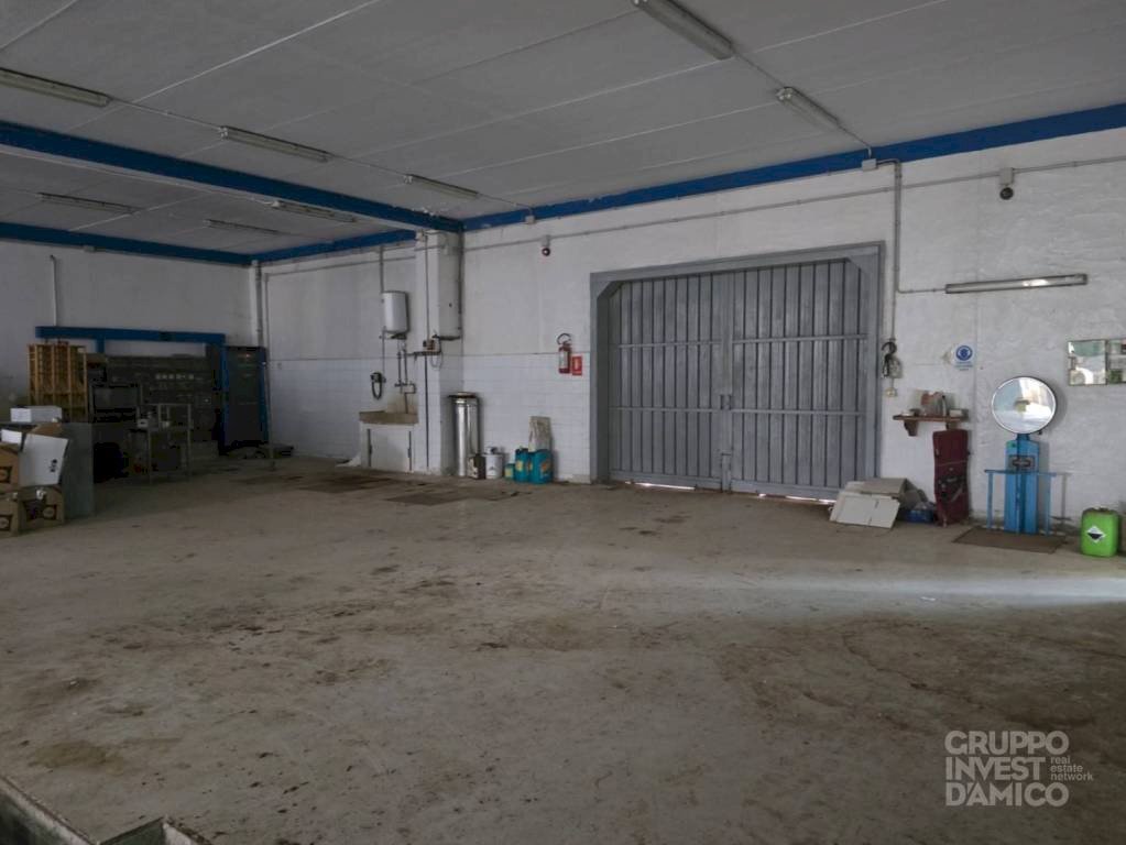 Magazzino - Capannone Fasano - foto 3
