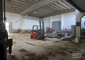 Interno non residenziale - Capannone Fasano - foto 4