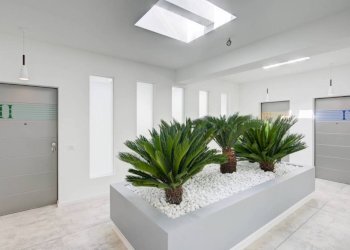 Ingresso - Office via Abate Antonio Vassalli Eandi, 24, Torino (neighborhood Cit Turin) - photo 2